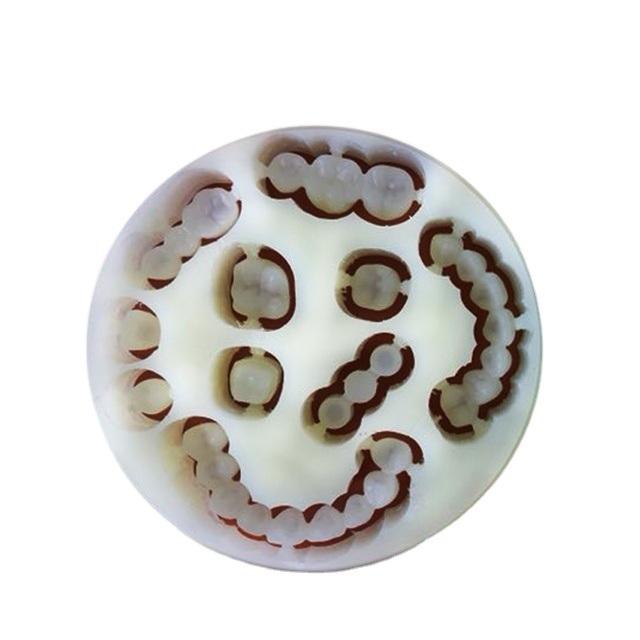Yucera Durable Dental Monolayer PMMA untuk Manufaktur Prostetik Gigi yang Andal dan Berkualitas Tinggi